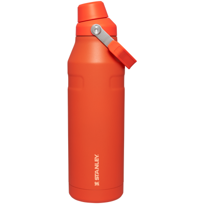 50 oz Ice Flow Aerolight with Fast Flow Lid in Tigerlily