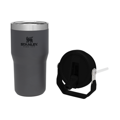 Stanley The IceFlow FlipStraw Tumbler Water Bottle 20 OZ In Stone