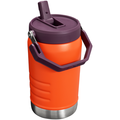 Stanley IceFlow 40 oz Stainless Steel Tumbler in Tigerlily Plum with Flip Straw Lid
