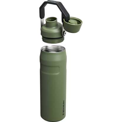 Stanley IceFlow Water Bottle with Fast Flow Lid 24 OZ In Dried Pine Green