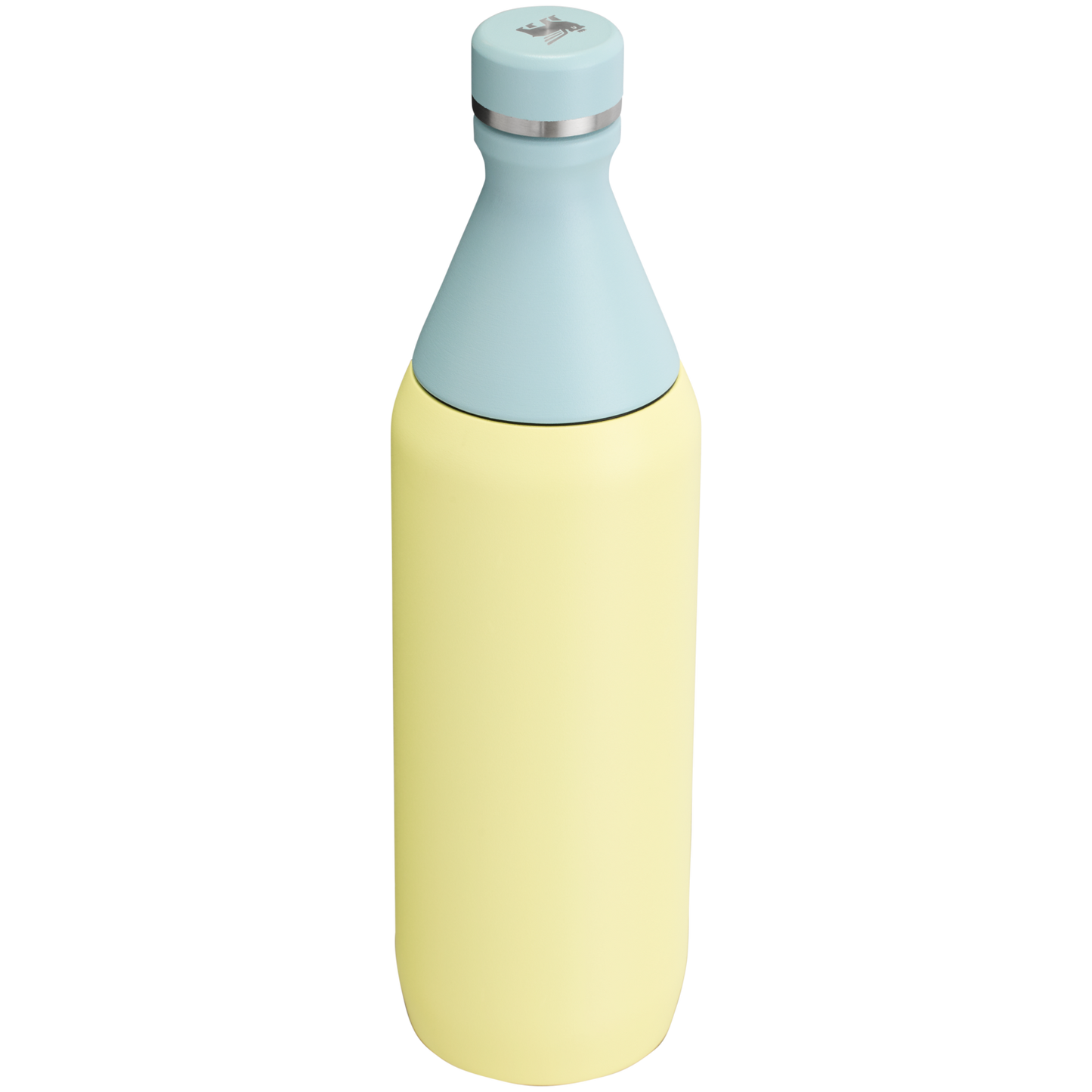 Stanley Leak Proof 20 OZ All Day Slim Bottle with removable collar in Pomelo