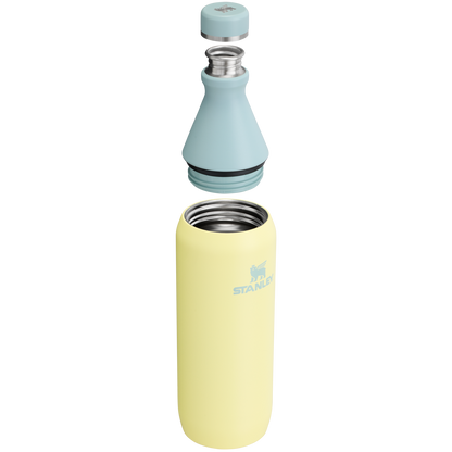 Stanley Leak Proof 20 OZ All Day Slim Bottle with removable collar in Pomelo