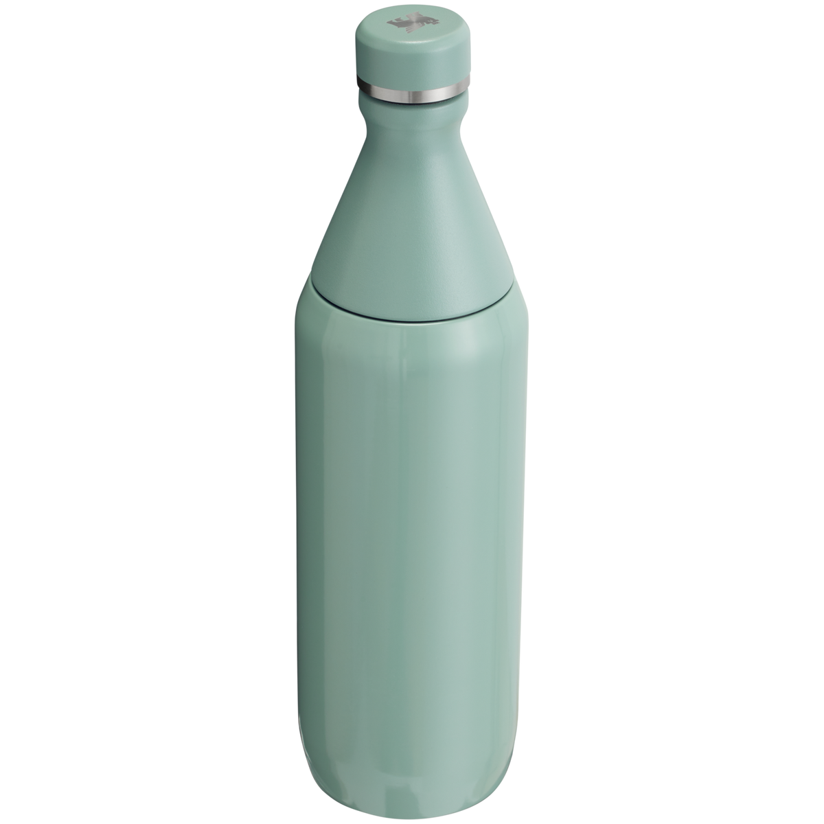 Stanley Leak Proof 20 OZ All Day Slim Bottle with removable collar in Shale Gloss