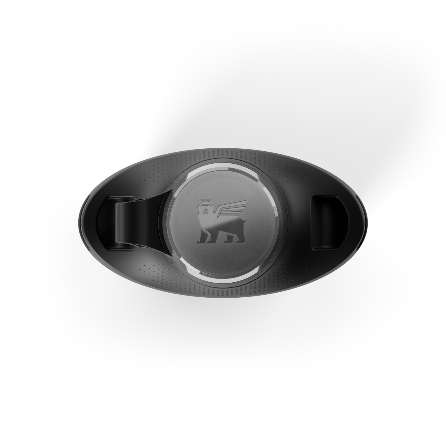 Stanley Crossbody Water Bottle in Black