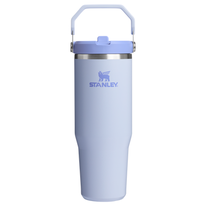 Stanley 30 OZ IceFlow Stainless Steel Water Bottle In Dew Drop Purple n with Flip Straw