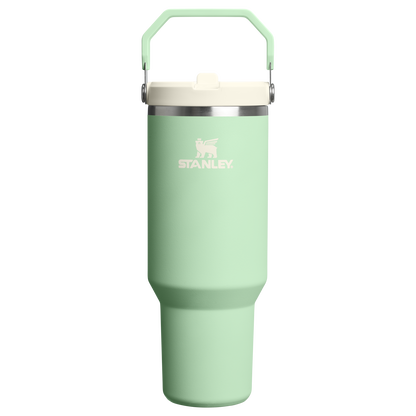Stanley 40 OZ IceFlow Stainless Steel Water Bottle In Pistachio Green with Flip Straw