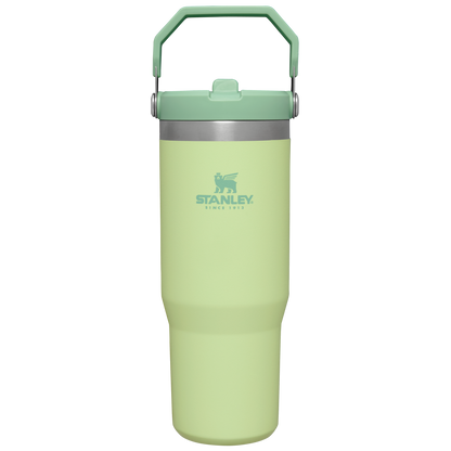 Stanley 30 oz IceFlow Flip Straw Water Bottle In Citron Green