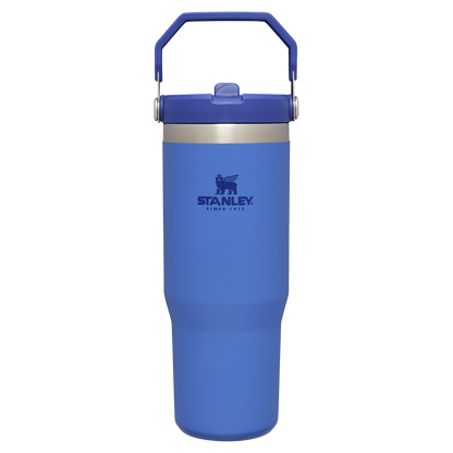 The Stanley IceFlow Flip Straw Tumbler 30 OZ in Iris