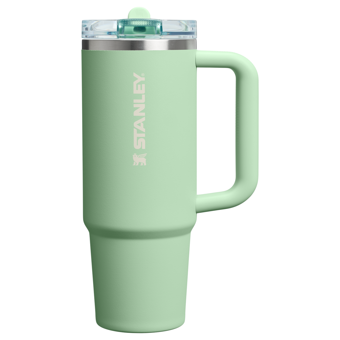 Stanley 30 OZ Quencher ProTour Stainless Steel Tumbler In PIstachio Green with Flip Straw