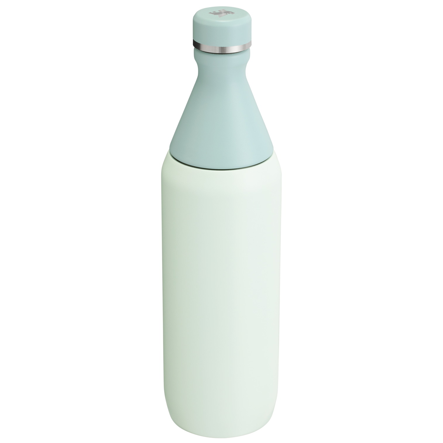 Stanley Leak Proof 20 OZ All Day Slim Bottle with removable collar in Mist