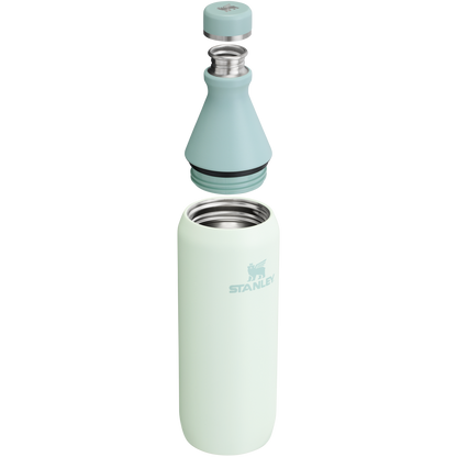 Stanley Leak Proof 20 OZ All Day Slim Bottle with removable collar in Mist