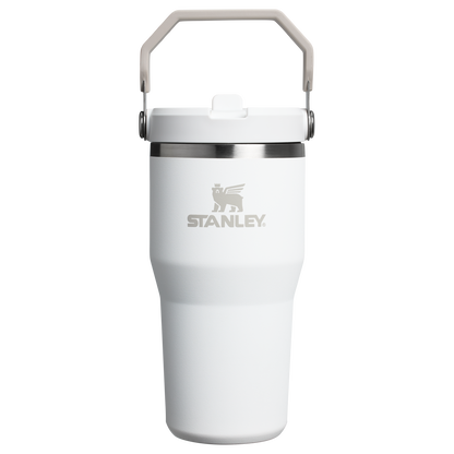 Stanley 20 OZ ProTour Flip Straw Tumbler Cup In Frost White