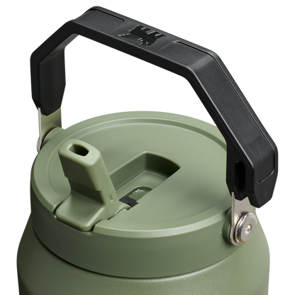 Stanley 64 OZ IceFlow Flip Straw Water Jug In Dried Pine Green