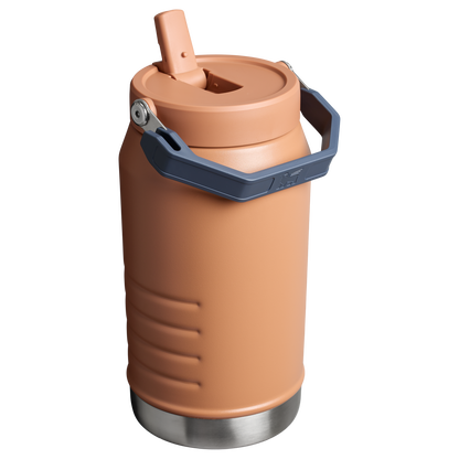 Stanley 64 OZ IceFlow Flip Straw Water Jug In Toast Brown