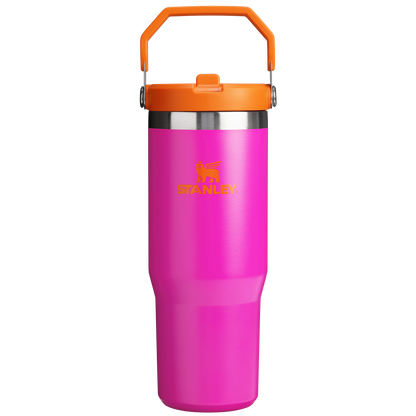 Stanley IceFlow Flip Straw Insulated Tumbler 30OZ In Vivid Violet