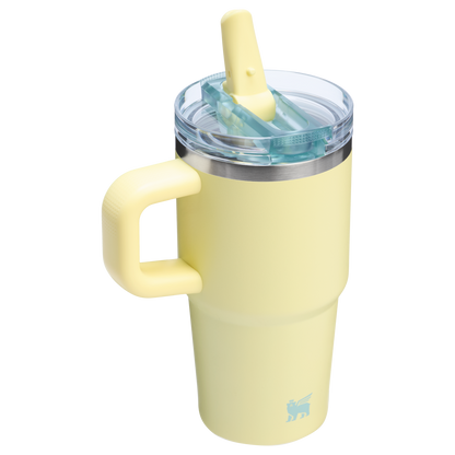 Stanley 20 OZ ProTour Flip Straw Tumbler Cup In Pomelo Yellow